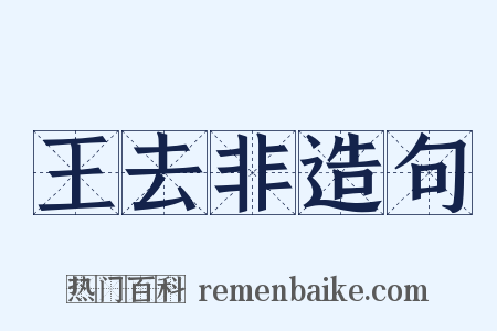王去非造句是什么意思的图片
